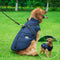 Waterproof Winter Dog Jacket | Reflective Warm Padded Coat