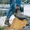 Oliver | Men’s Chelsea Boots for Outdoor Use